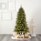 6ft. Pre-Lit Vancouver Fir Natural Look Artificial Christmas Tree, Clear LED Lights